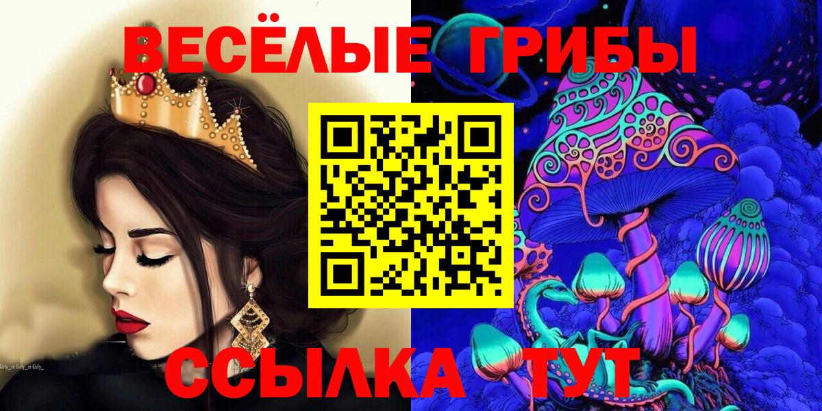 Псилоцибиновые грибы прущие грибы  Вход с VPN  Родники 