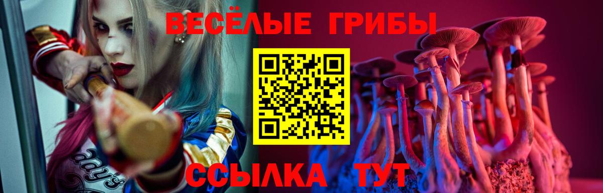 Галлюциногенные грибы мицелий Родники